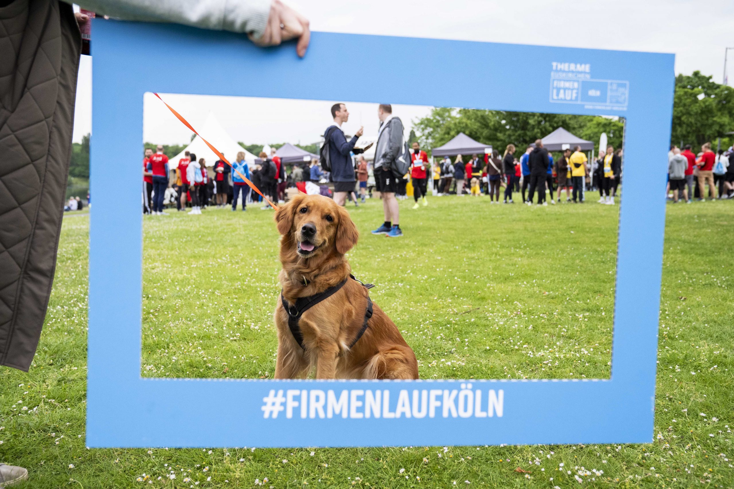 20260507_Firmenlauf_Koeln_xMBx_496